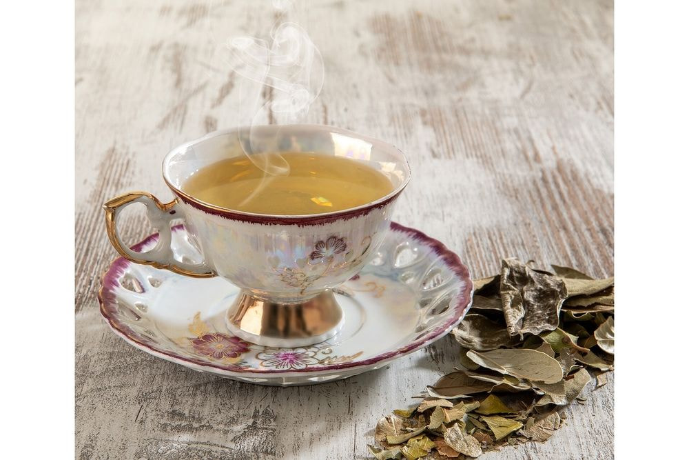 Tisane Boldo