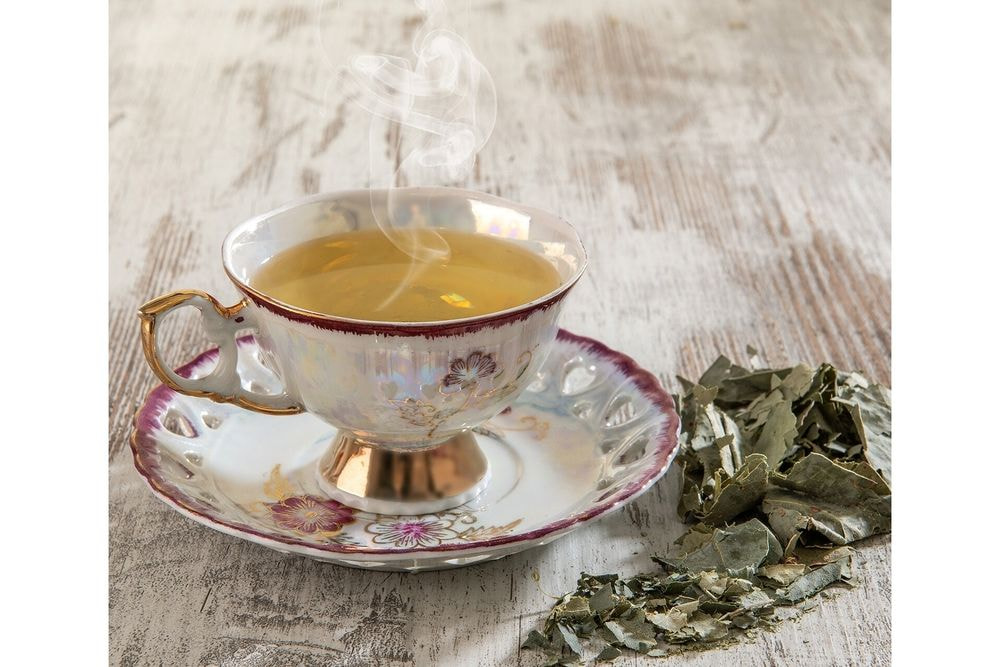 Té Eucalipto
