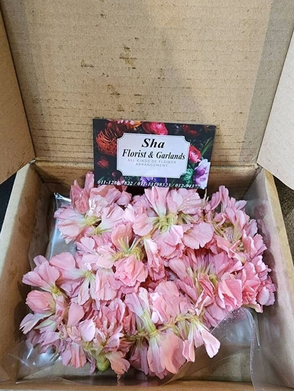 Carnation Petals Saram