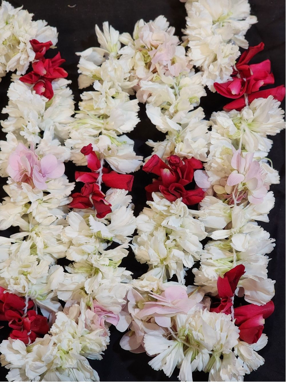 Carnation Petals Saram
