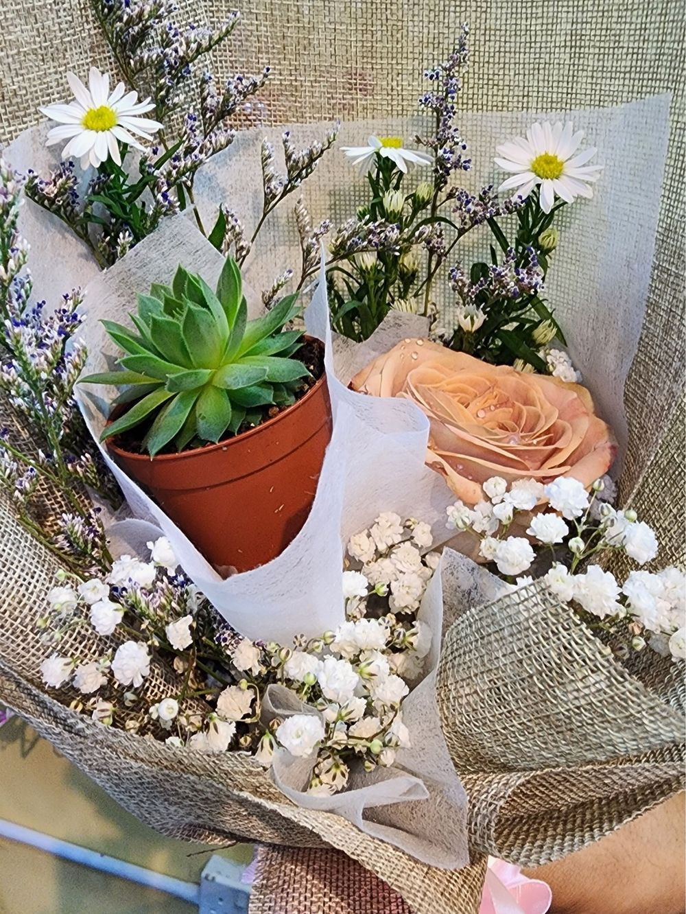 1 Rose Flower + 1 Types Succulent Plant Bouquet with Eucalyptus
