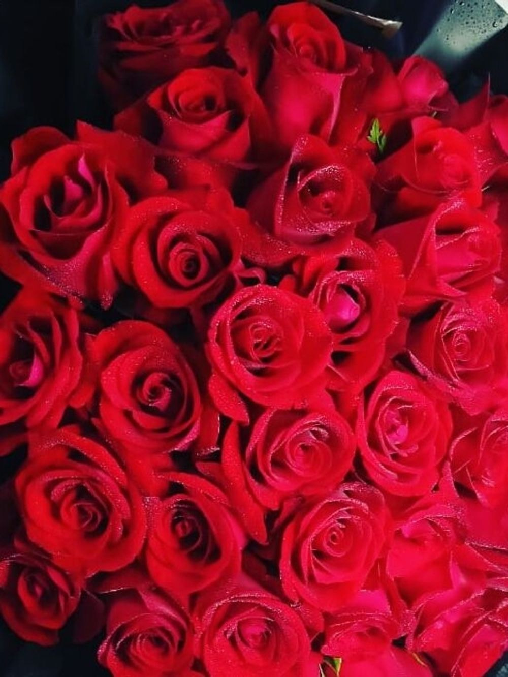 Large size : Classic 50 Rose Bouquet
