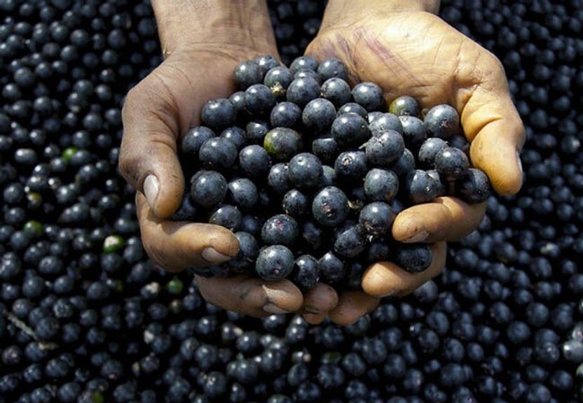 5 Impressive Health Benefits Of Acai Berries