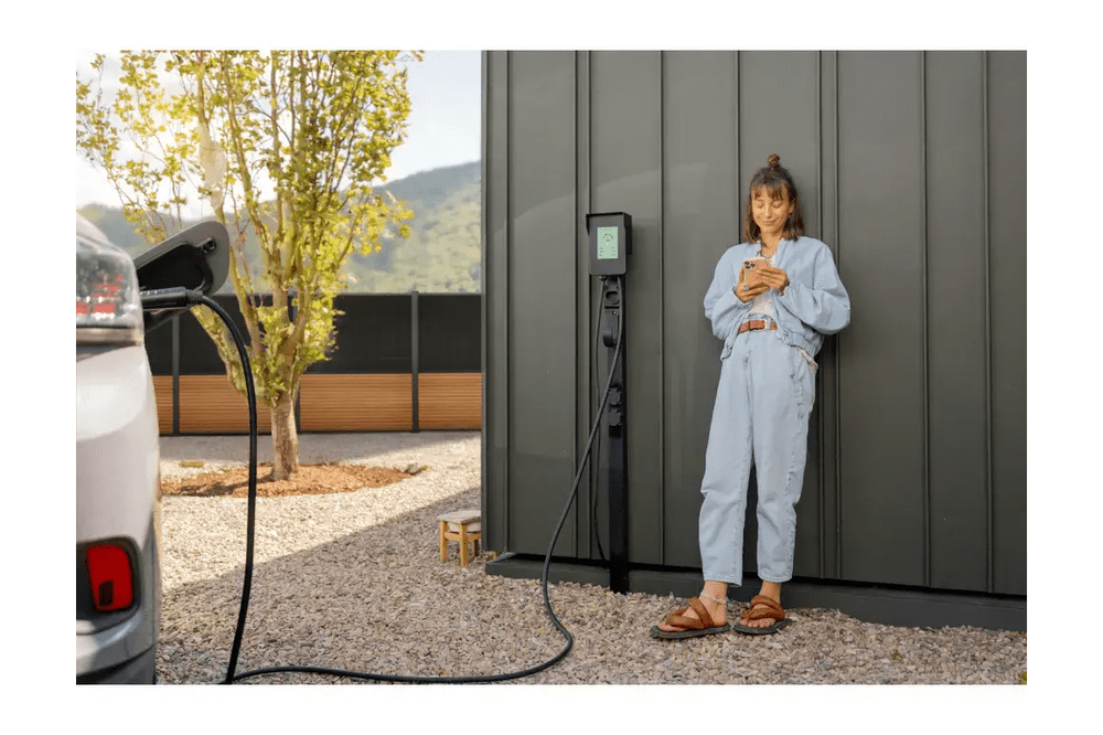 BasicPVence Solarzaun 1,25 m x 3,75 m mit zwei PV Modulen