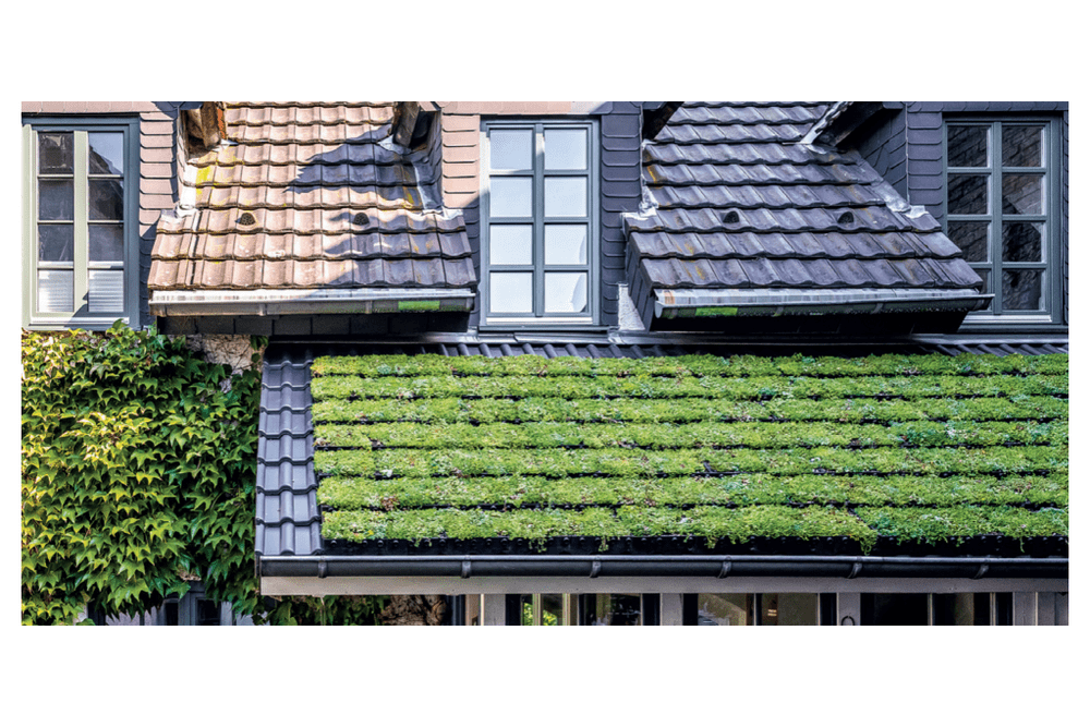 MyGreentop Gründachziegel