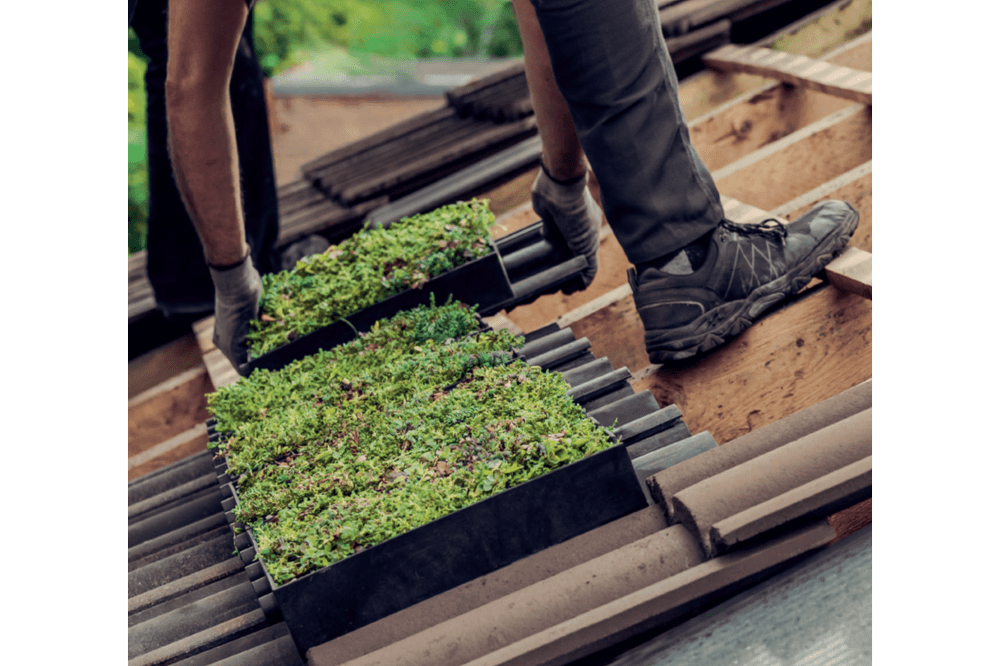 MyGreentop Gründachziegel