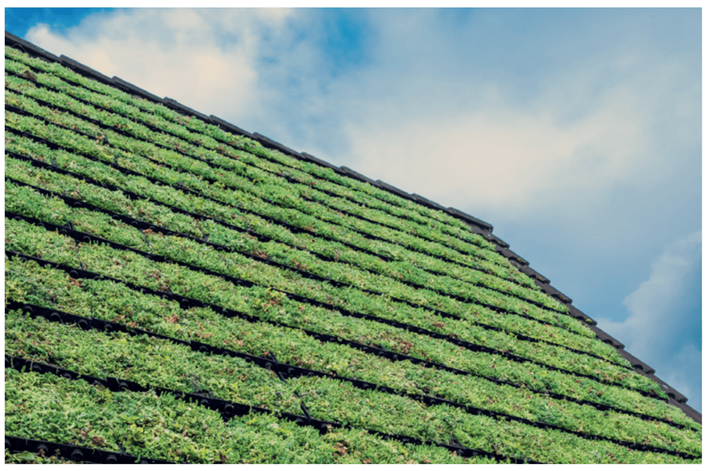 MyGreentop Gründachziegel