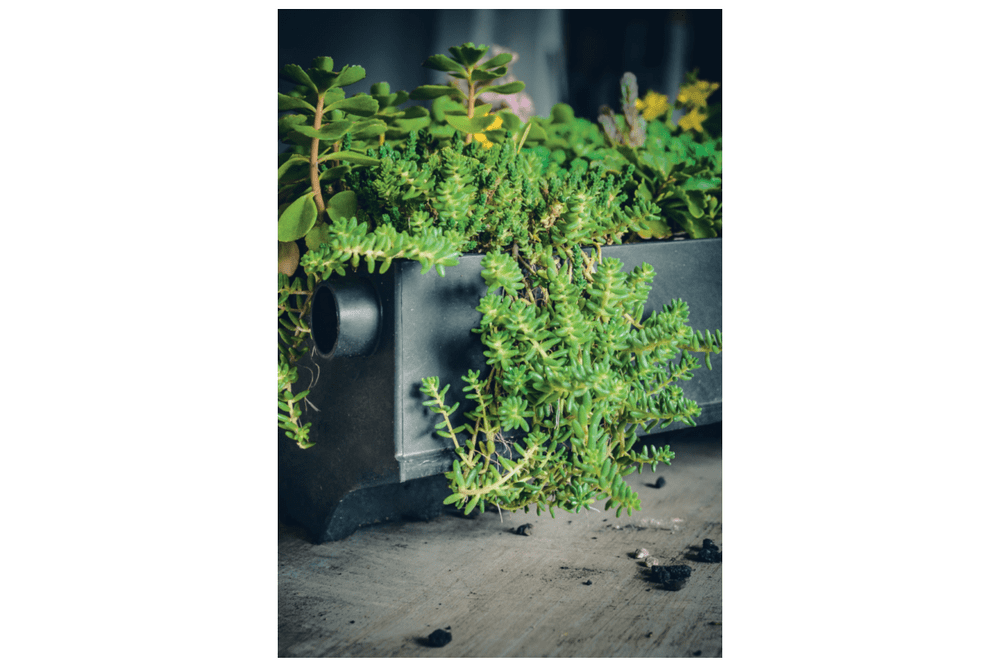 MyGreentop Gründachziegel