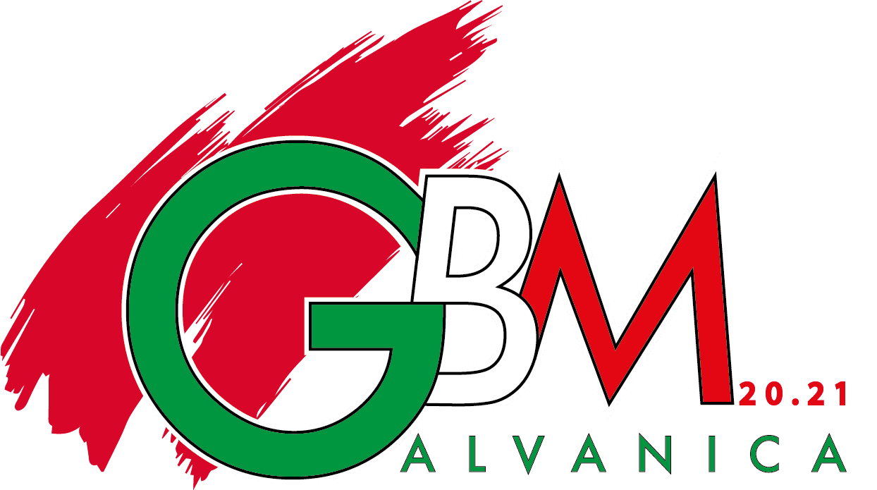 logo gbm 1 @300x.png