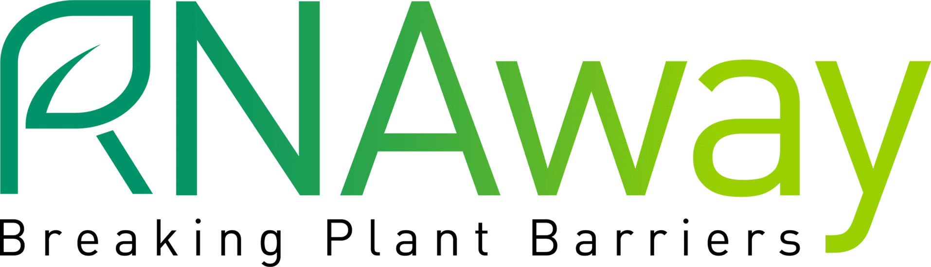 RNAway