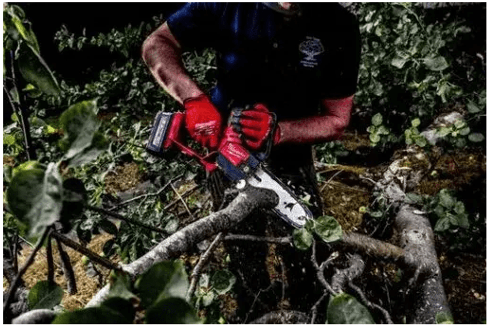 AKUMULATORSKA ROČNA VERIŽNA ŽAGA 20 CM M18 FHS20-0 MILWAUKEE