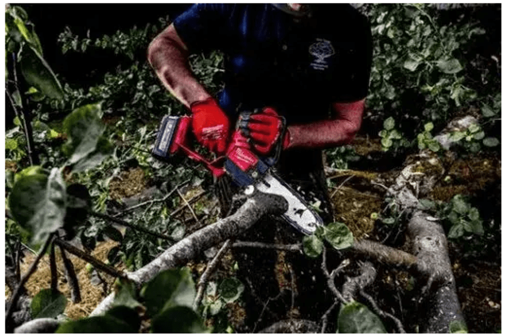 AKUMULATORSKA ROČNA VERIŽNA ŽAGA 20 CM M18 FHS20-552 MILWAUKEE AKUMULATORSKA ROČNA VERIŽNA ŽAGA 20 CM M18 FHS20-552 MILWAUKEE