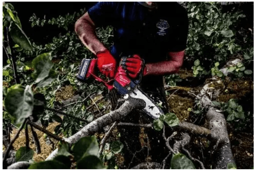 AKUMULATORSKA ROČNA VERIŽNA ŽAGA 20 CM M18 FHS20-552 MILWAUKEE