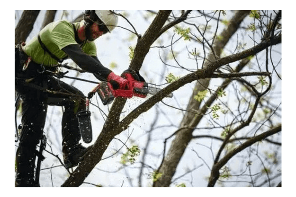 AKUMULATORSKA ROČNA VERIŽNA ŽAGA 20 CM M18 FHS20-552 MILWAUKEE AKUMULATORSKA ROČNA VERIŽNA ŽAGA 20 CM M18 FHS20-552 MILWAUKEE