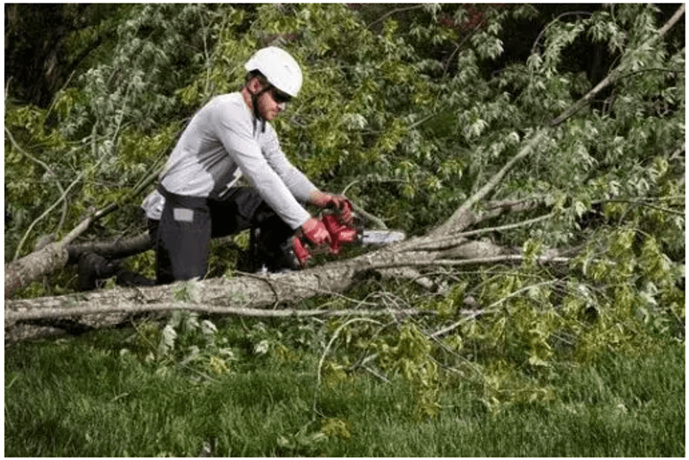AKUMULATORSKA ROČNA VERIŽNA ŽAGA 20 CM M18 FHS20-552 MILWAUKEE AKUMULATORSKA ROČNA VERIŽNA ŽAGA 20 CM M18 FHS20-552 MILWAUKEE