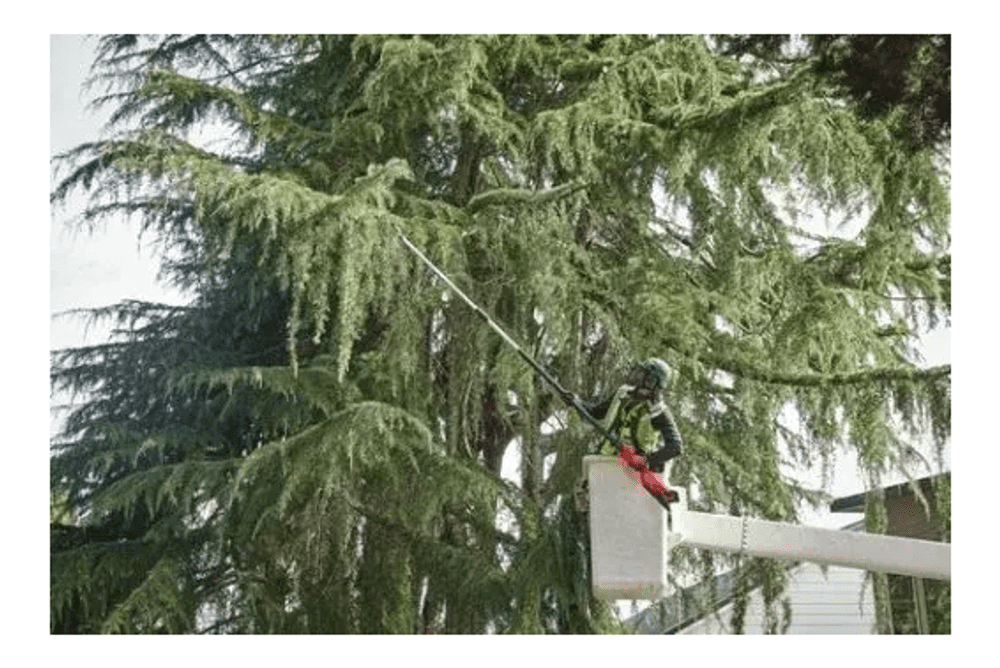 AKUMULATORSKA TELESKOPSKA VERIŽNA ŽAGA M18 FTPS30-0 MILWAUKEE