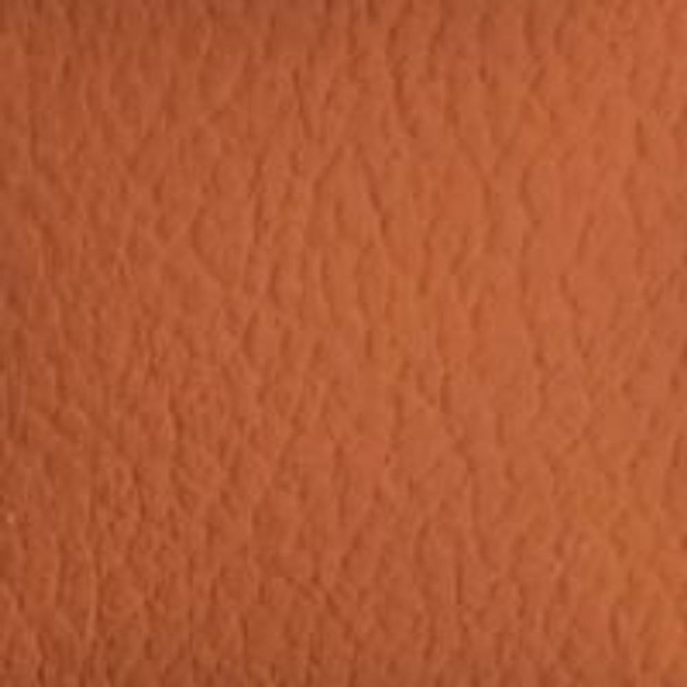 ATN Master Plus 207 x 3265