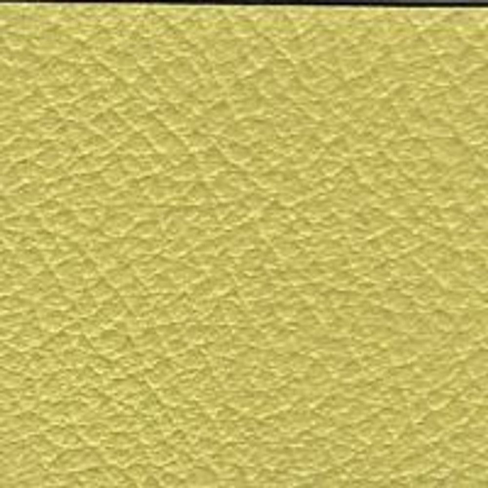 ATN Master Plus 219 x 4917