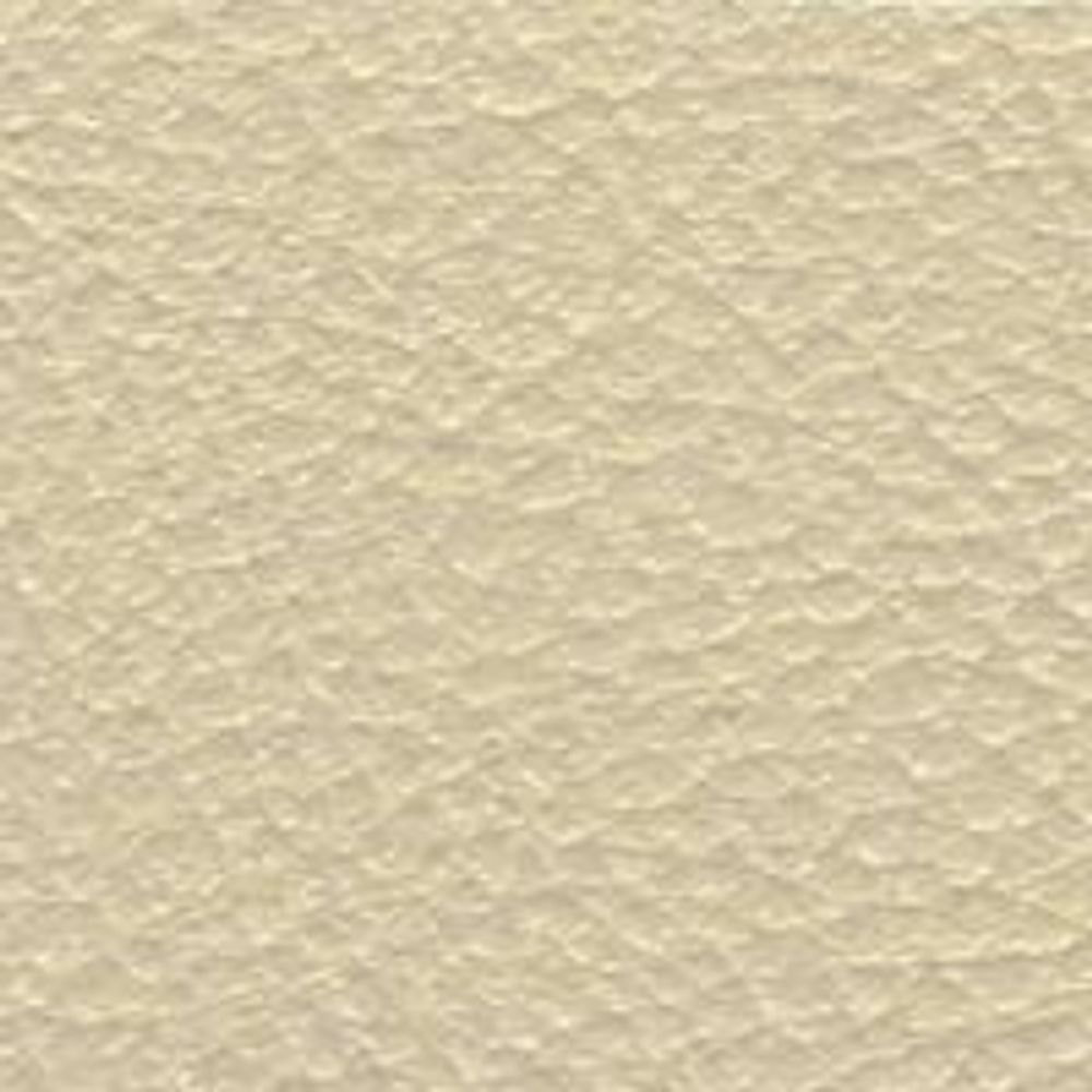 ATN Master Plus 219 x 4918