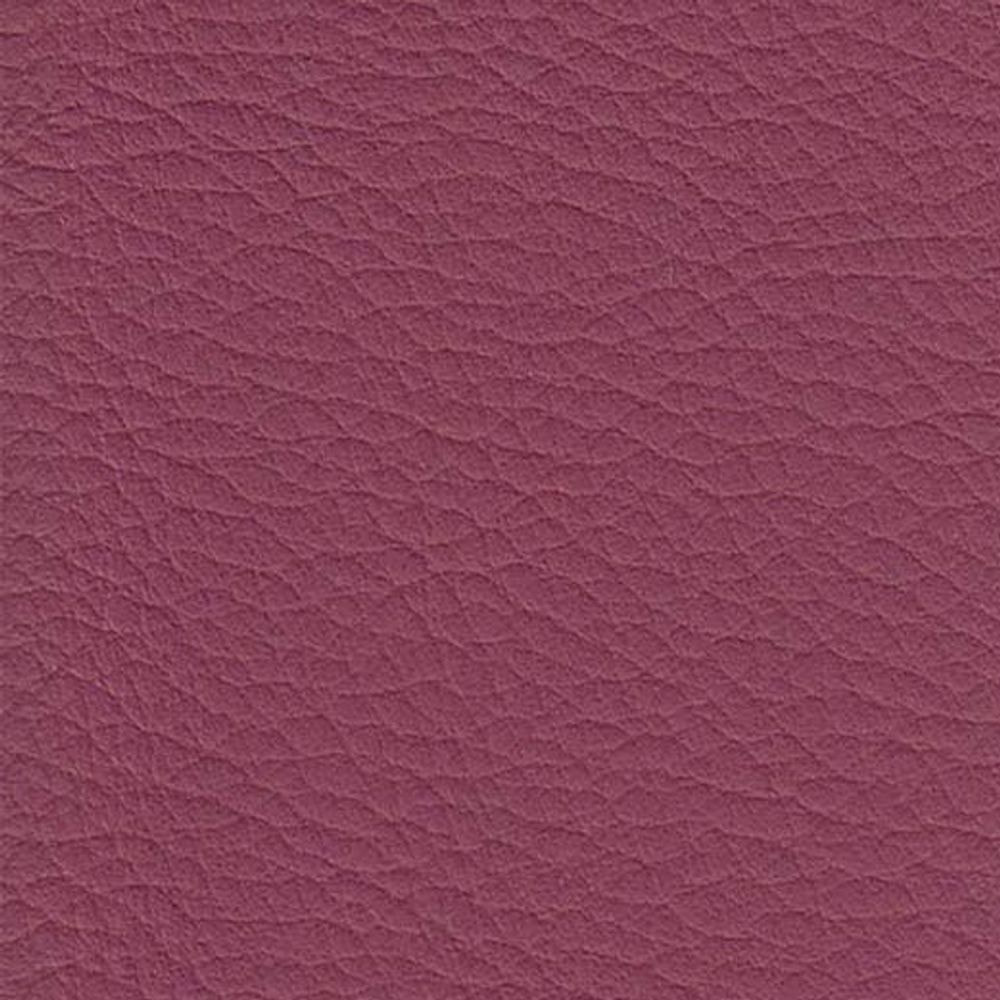 ATN Master Plus 207 x 3258