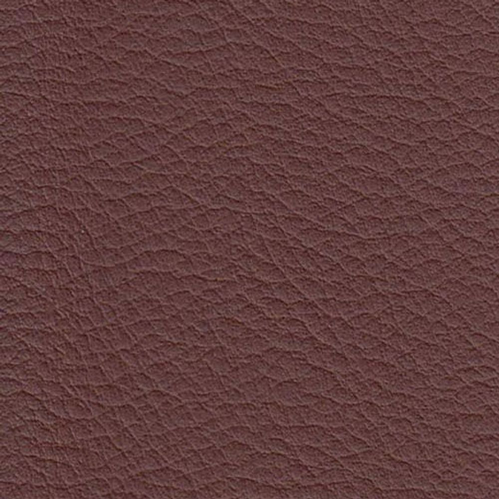 ATN Master Plus 207 x 3266