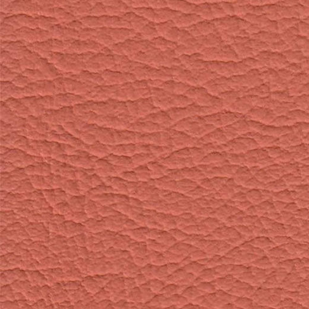 ATN Master Plus 208 x 1751