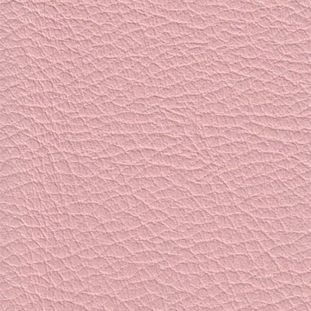 ATN Master Plus 208 x 3256