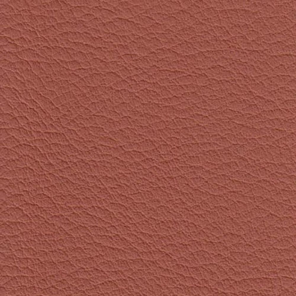 ATN Master Plus 208 x 4113