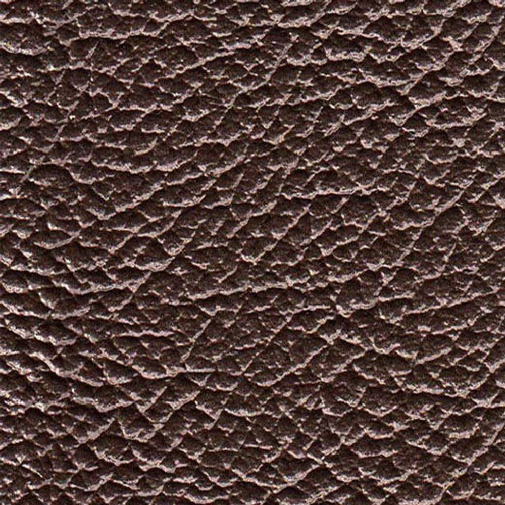 ATN Master Plus 219 x 1624