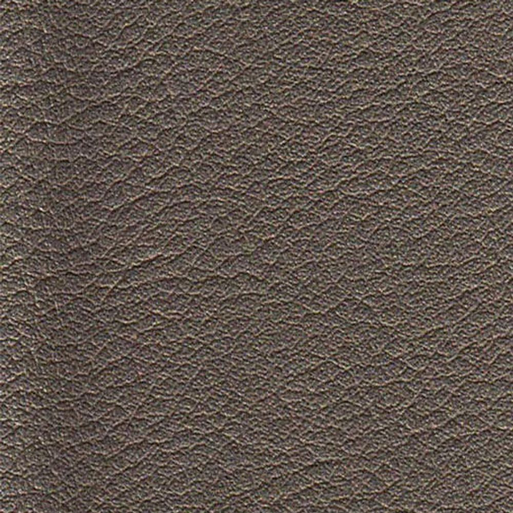 ATN Master Plus 219 x 4129