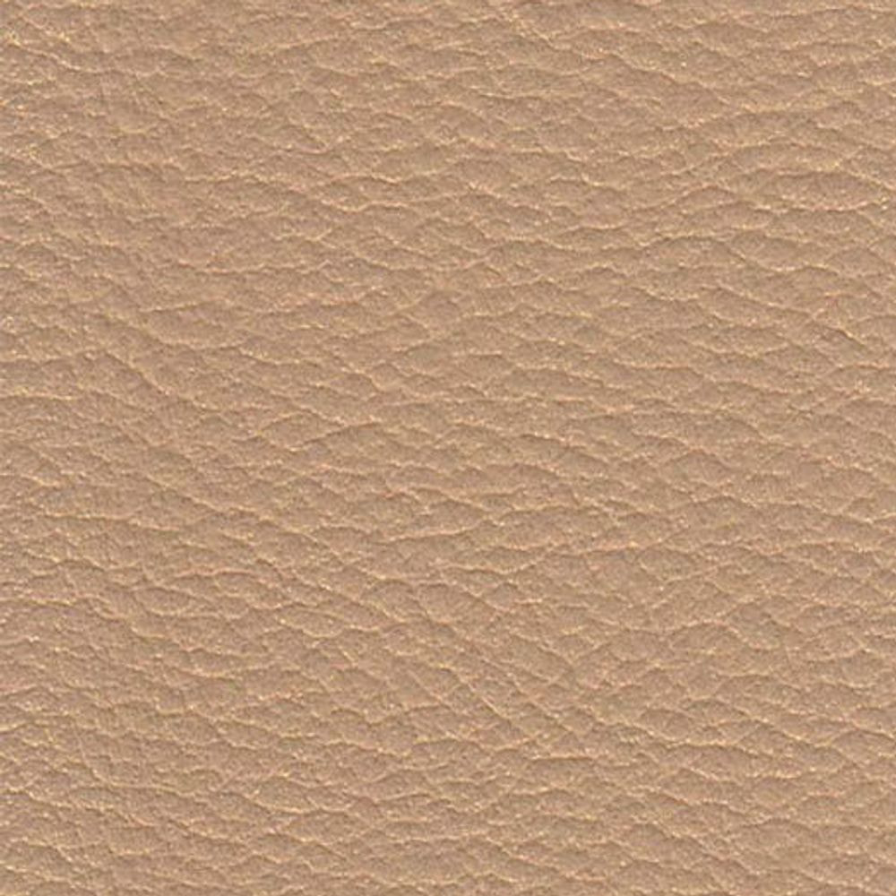 ATN Master Plus 219 x 4130