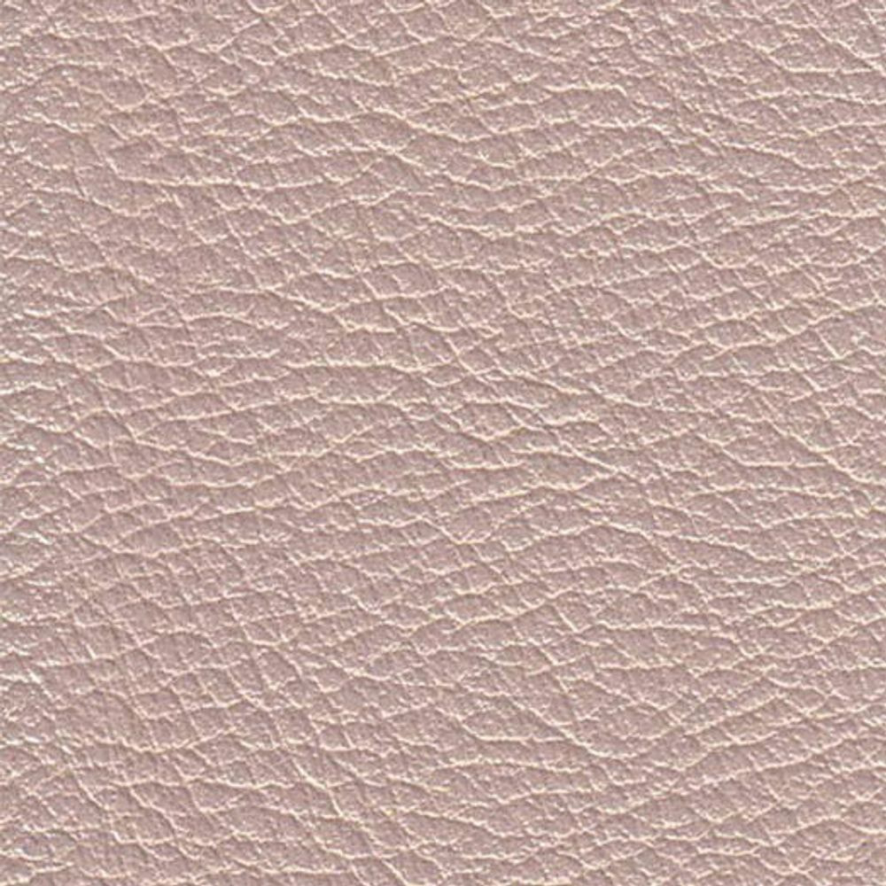 ATN Master Plus 219 x 4864