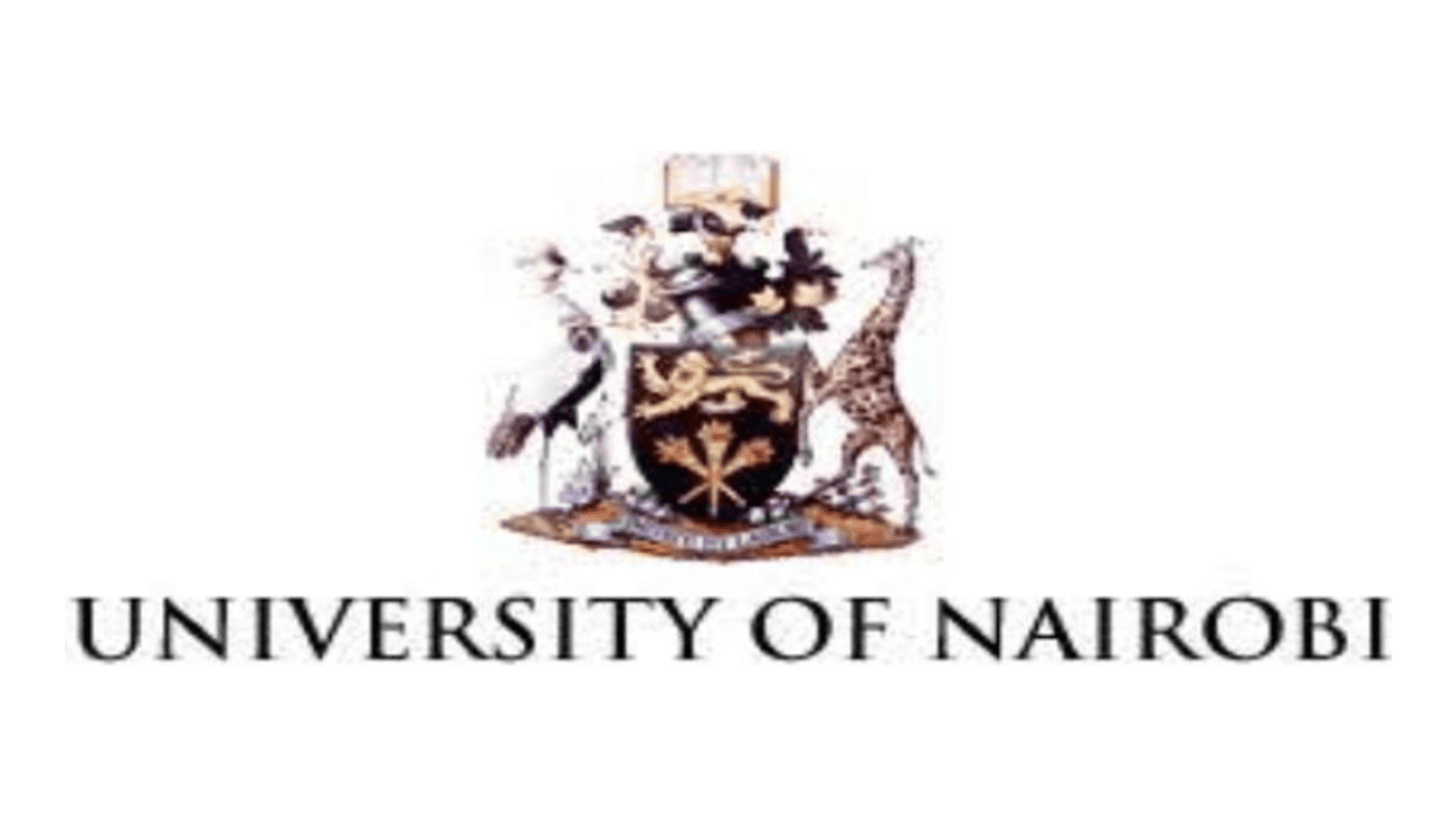 UNIVERSITY OF NAIROBI