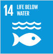 Sustainable-Development-Goals_31.jpg