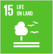 Sustainable-Development-Goals_29.jpg