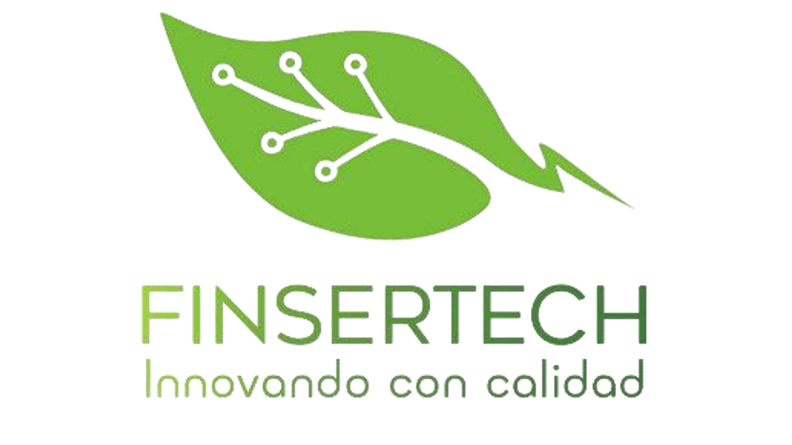 FINSERTECH S.A
