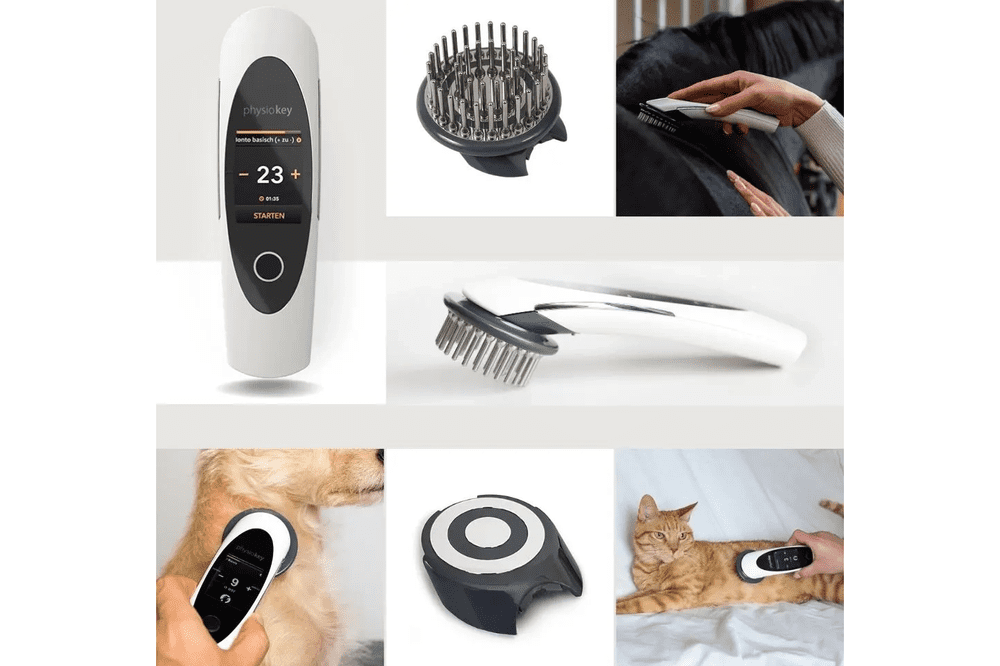 PhysioKey – Veterinary
