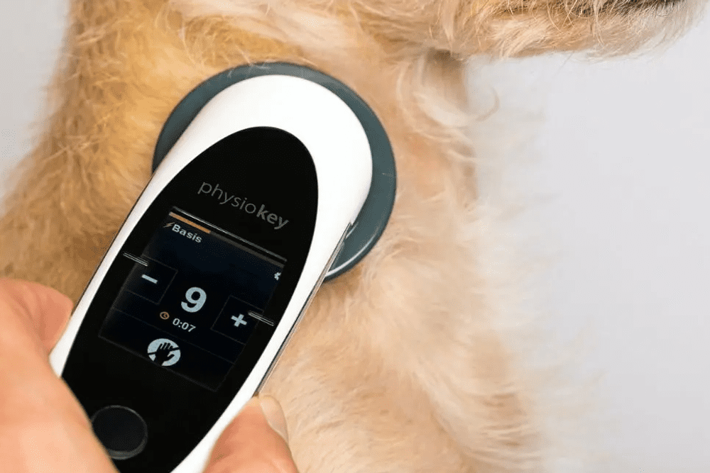 PhysioKey – Veterinary