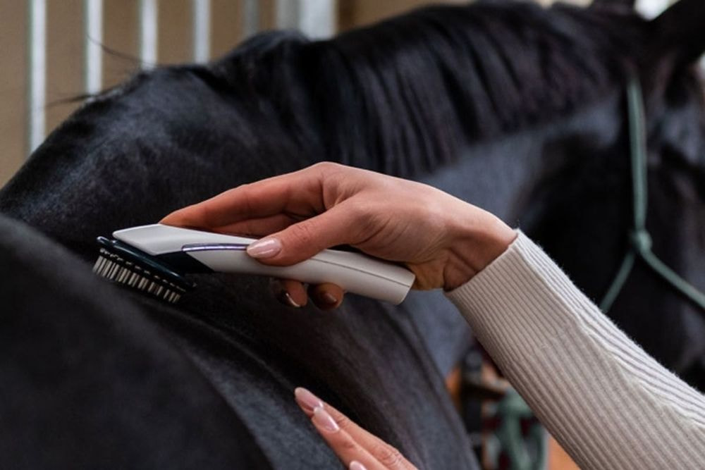 PhysioKey – Veterinary