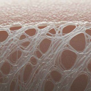 Nexcia for regenerating fascia