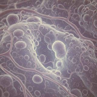 Nexcia for reduce inflammation