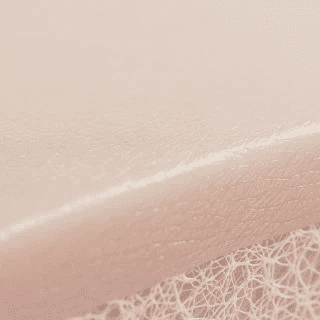 Nexcia for sculpting skin