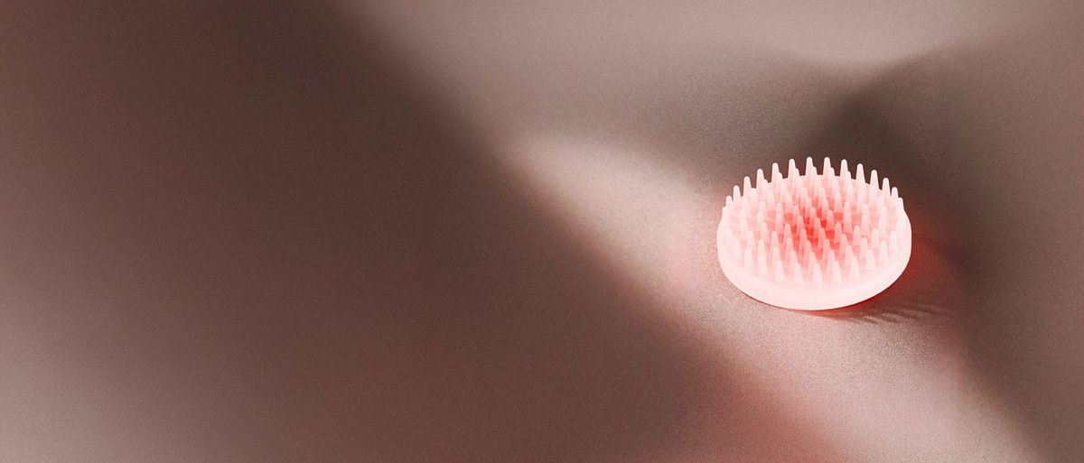 The Small Clear Disc with Lymphatic Brushes