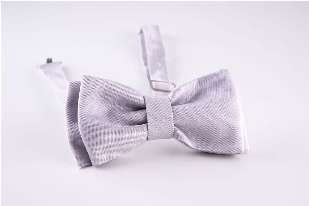 Gray bow tie