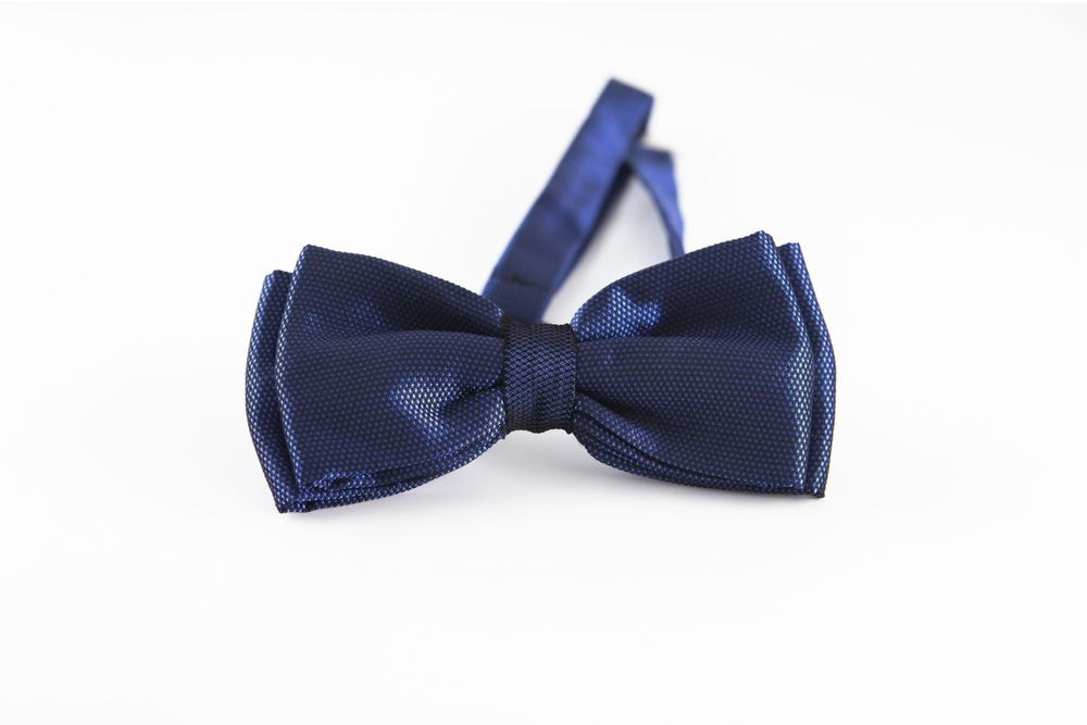 Papillon blu