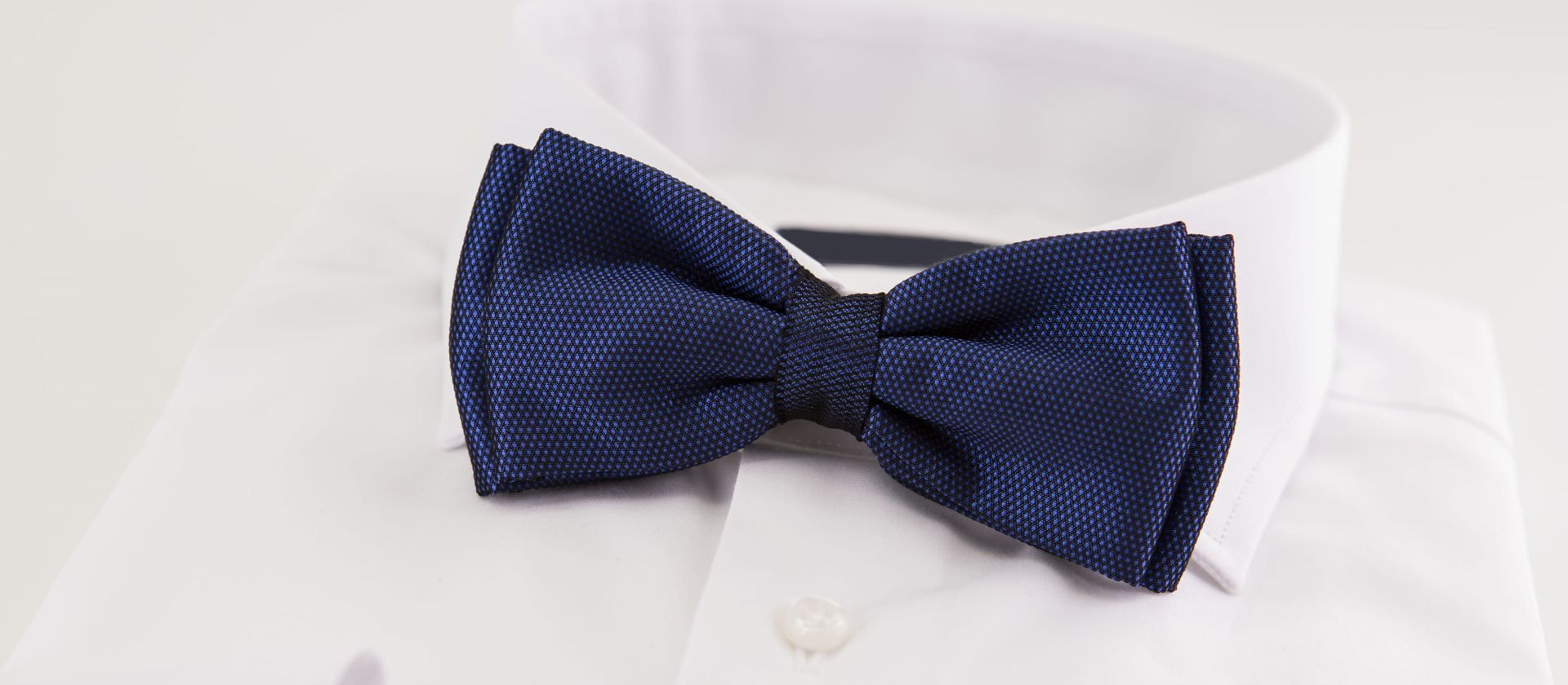 Papillon blu