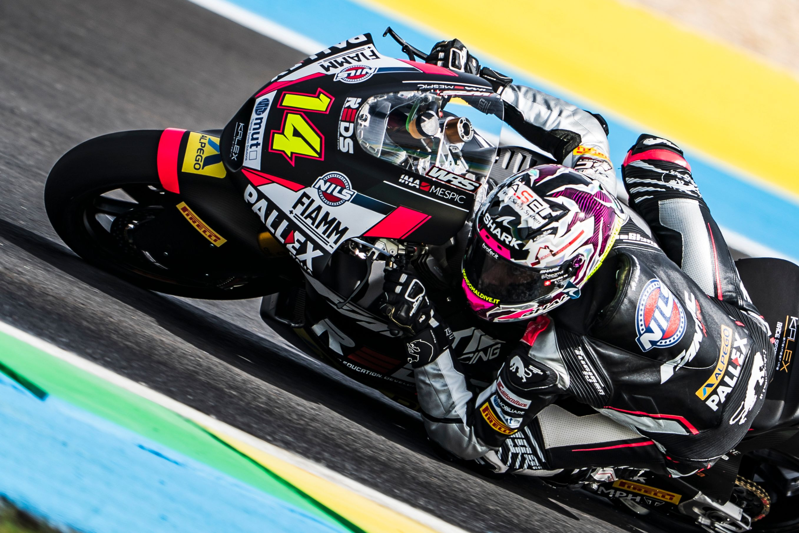 SHARK TANGO WINS VICTORY IN ARGENTINA!