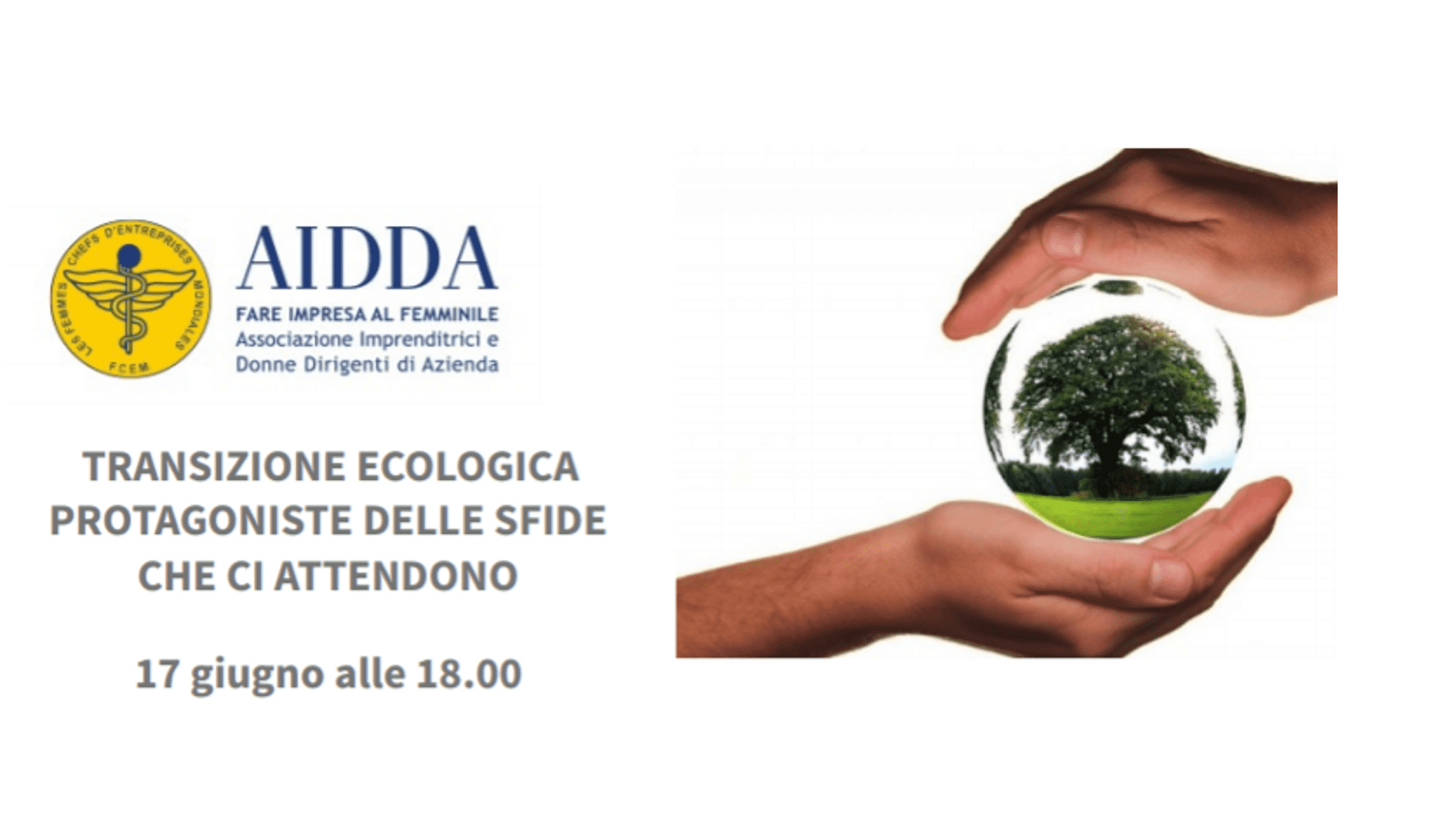 LA TRANSAZIONE ECOLOGICA LA TRANSAZIONE ECOLOGICA