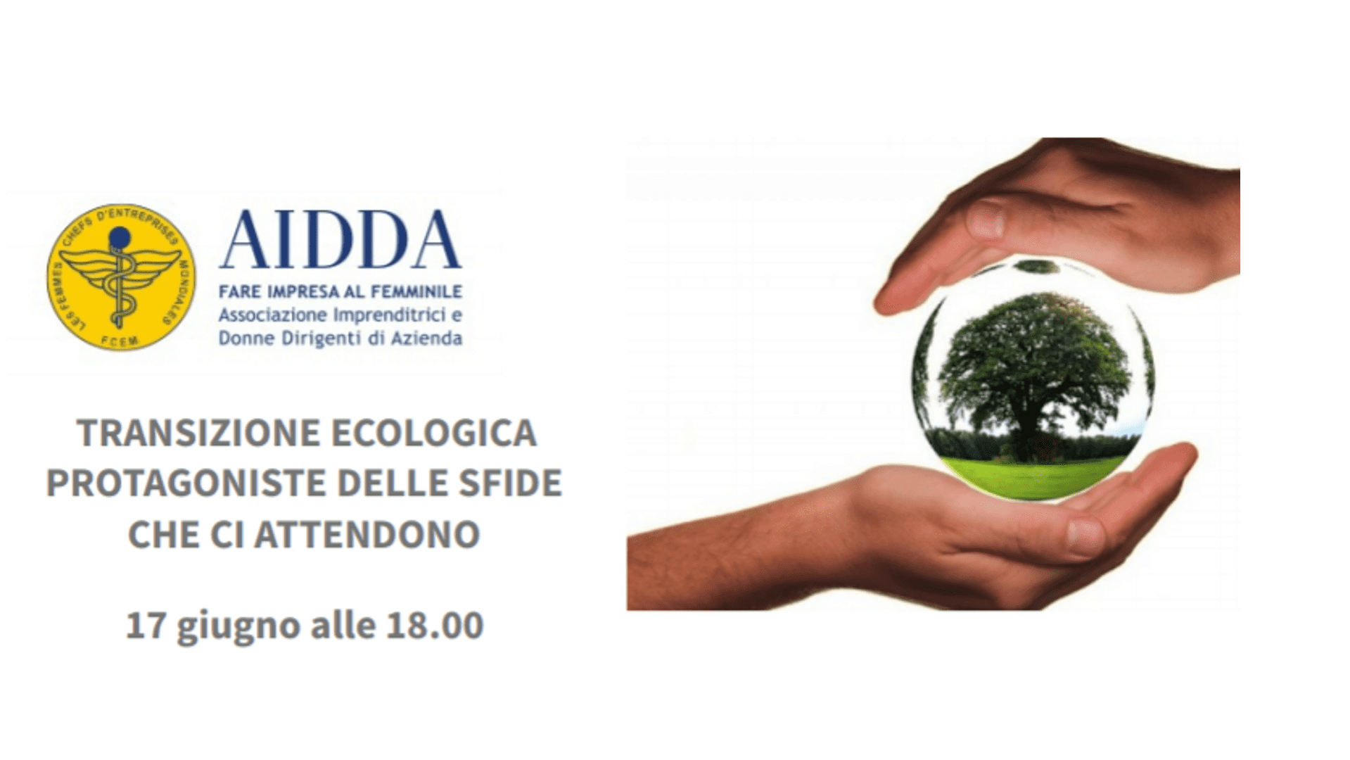 LA TRANSAZIONE ECOLOGICA