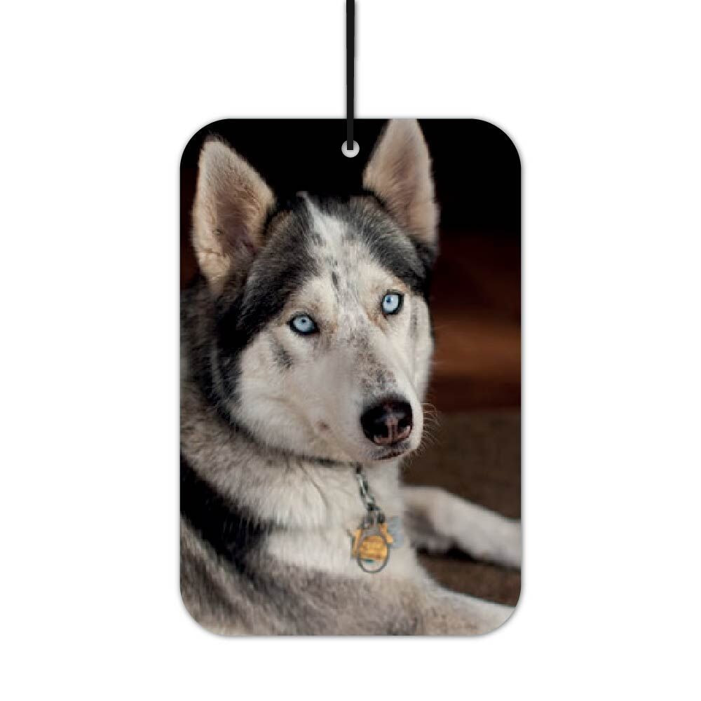 Husky